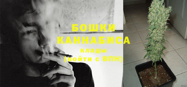 spice Кинешма