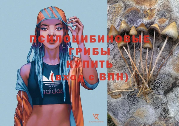 spice Кинешма