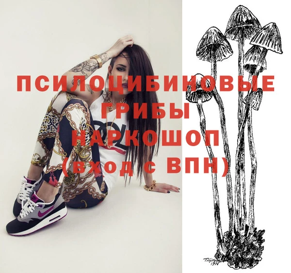 наркотики Киреевск